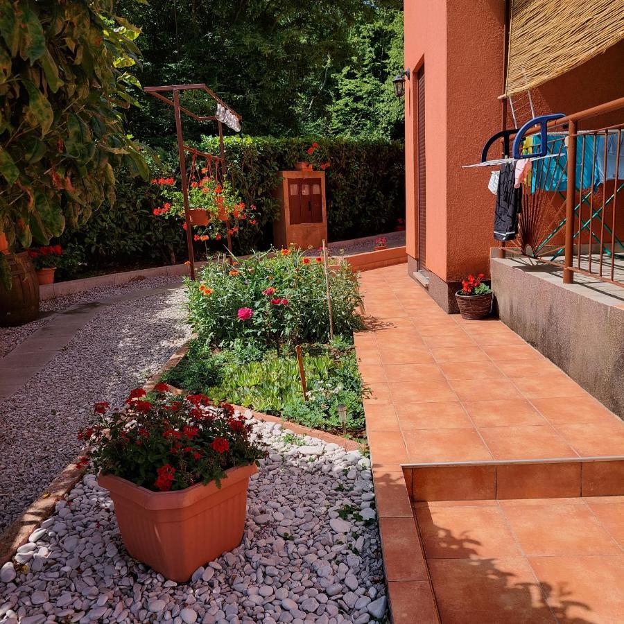 Studio Apartman Branka Labin  Dış mekan fotoğraf