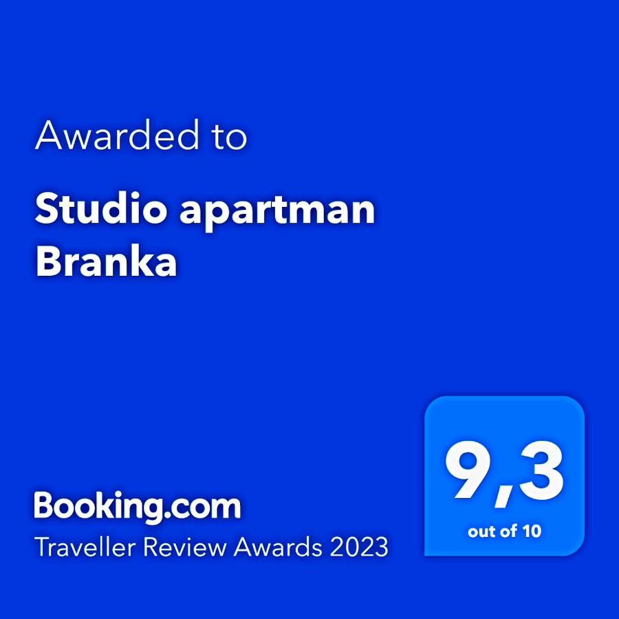 Studio Apartman Branka Labin  Dış mekan fotoğraf
