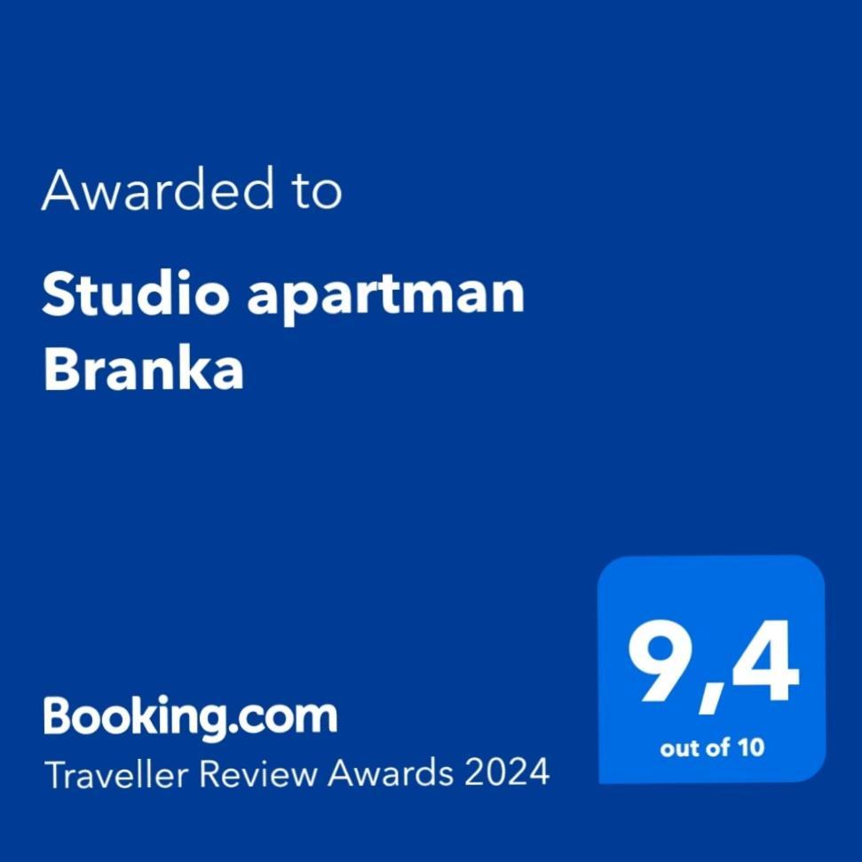 Studio Apartman Branka Labin  Dış mekan fotoğraf